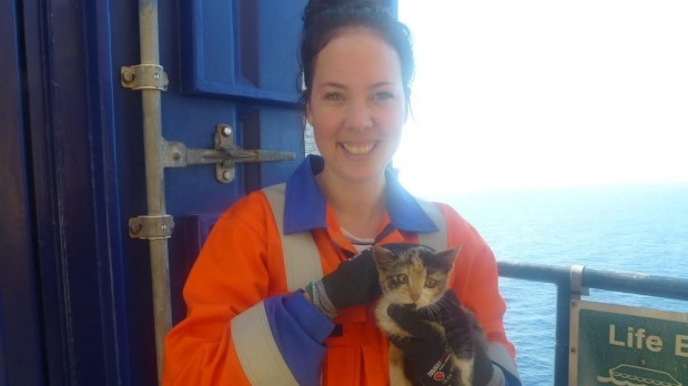 Rebekah Smith, platform medics with Maui the kitten