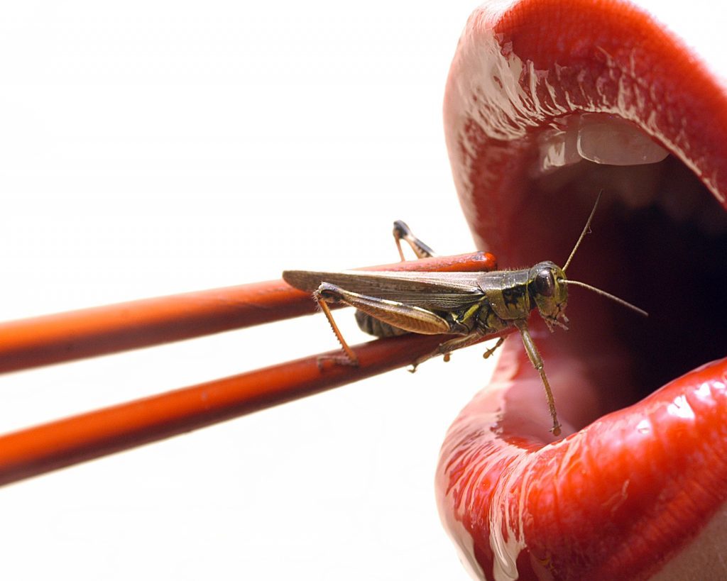 Scientists have suggested swapping meat for bugs in the battle against climate change