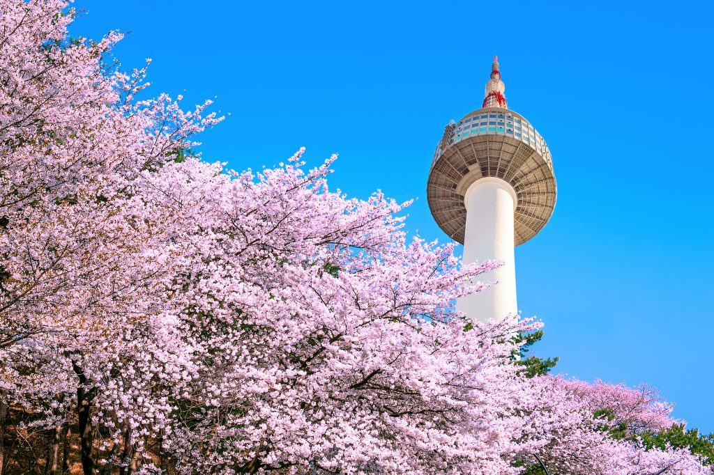 Sir Suma, gained strong backing for the EBRD's work in the green economy during a visit to the Republic of Korea.