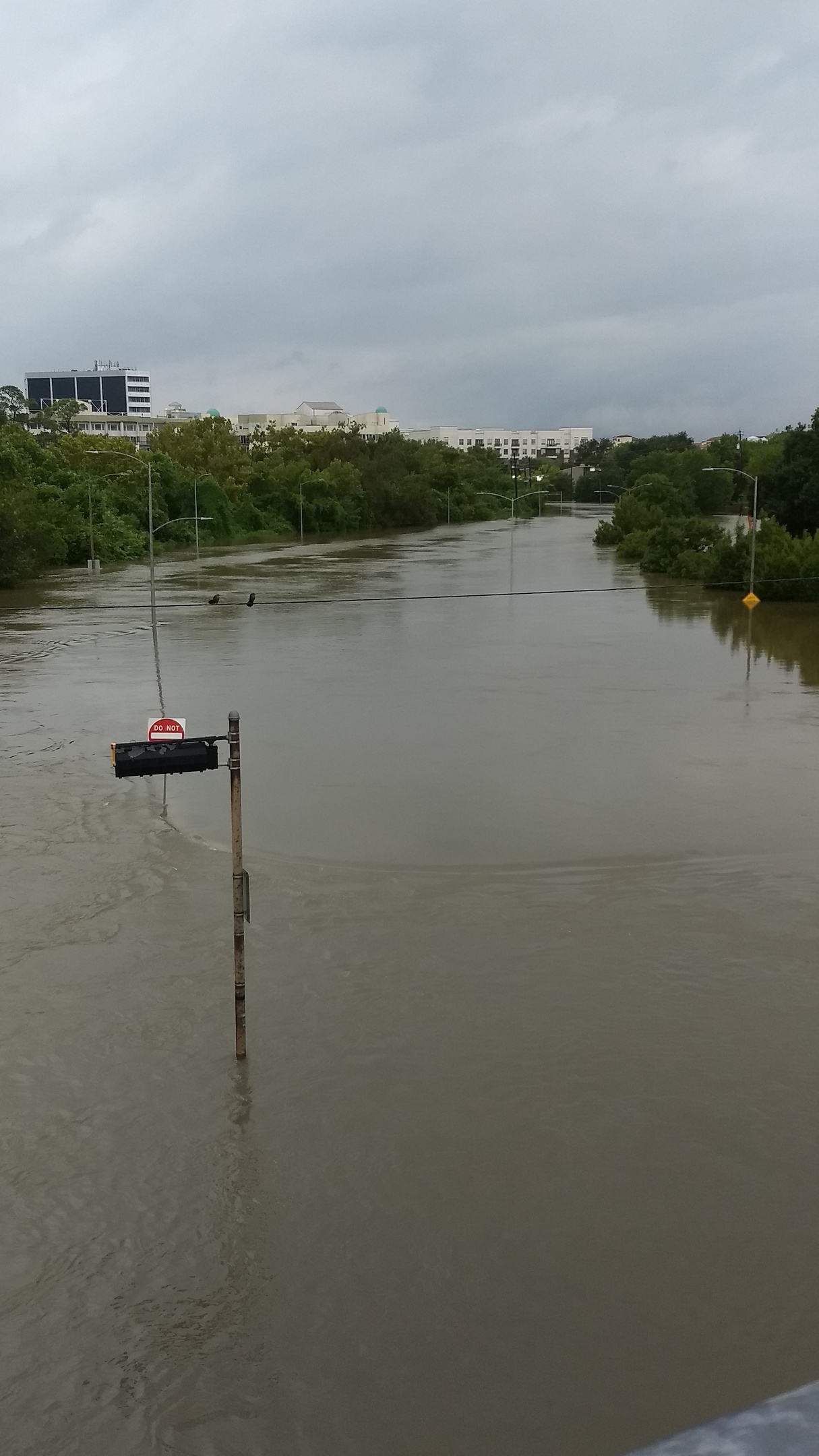 Houston flooding