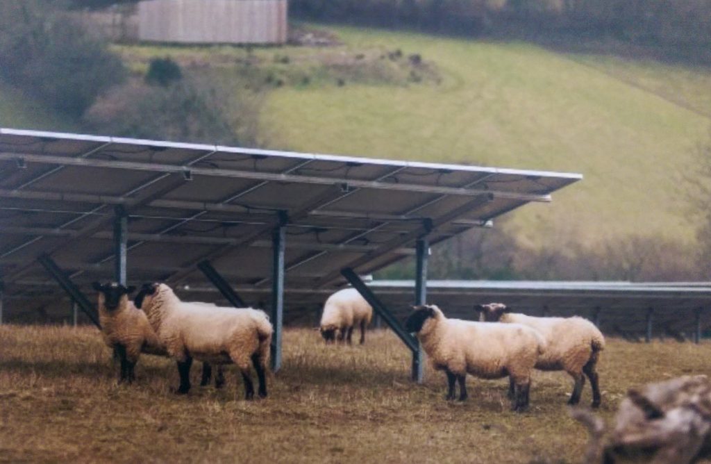 Sheep will still be able to graze in the developments at Speyslaw and Milltown Airfield once they are complete.