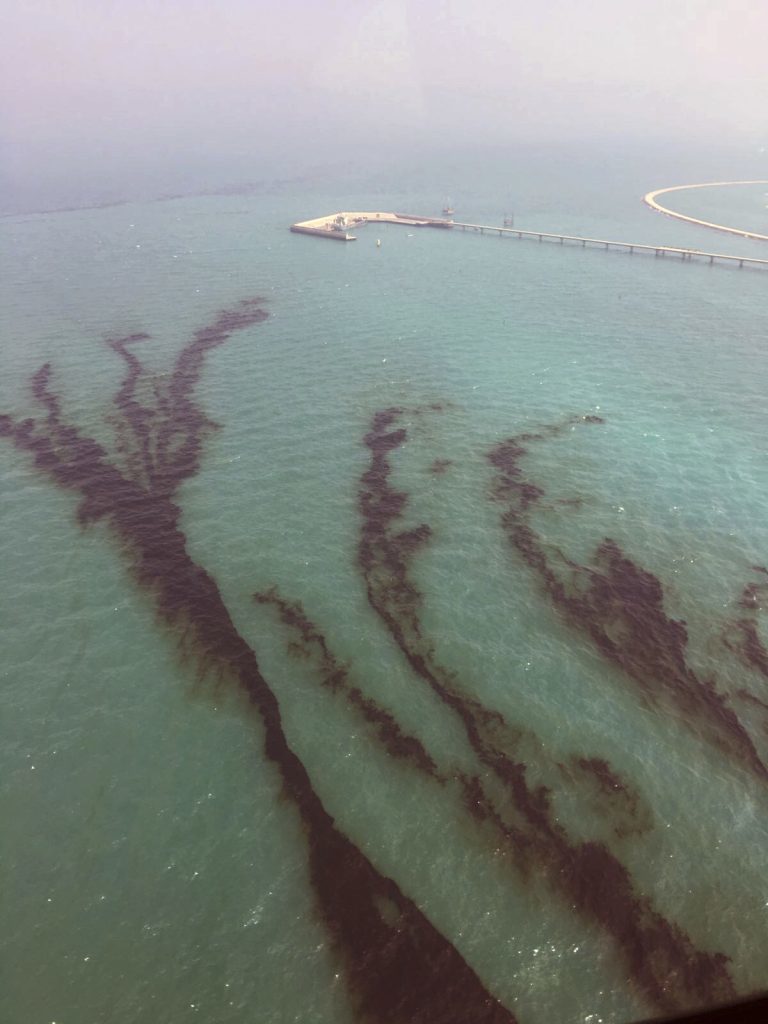 This Saturday Aug. 12, 2017 photo released by Kuwait Environment Public Authority, shows an oil spill near Kuwait's southern Ras al-Zour in Persian Gulf waters.