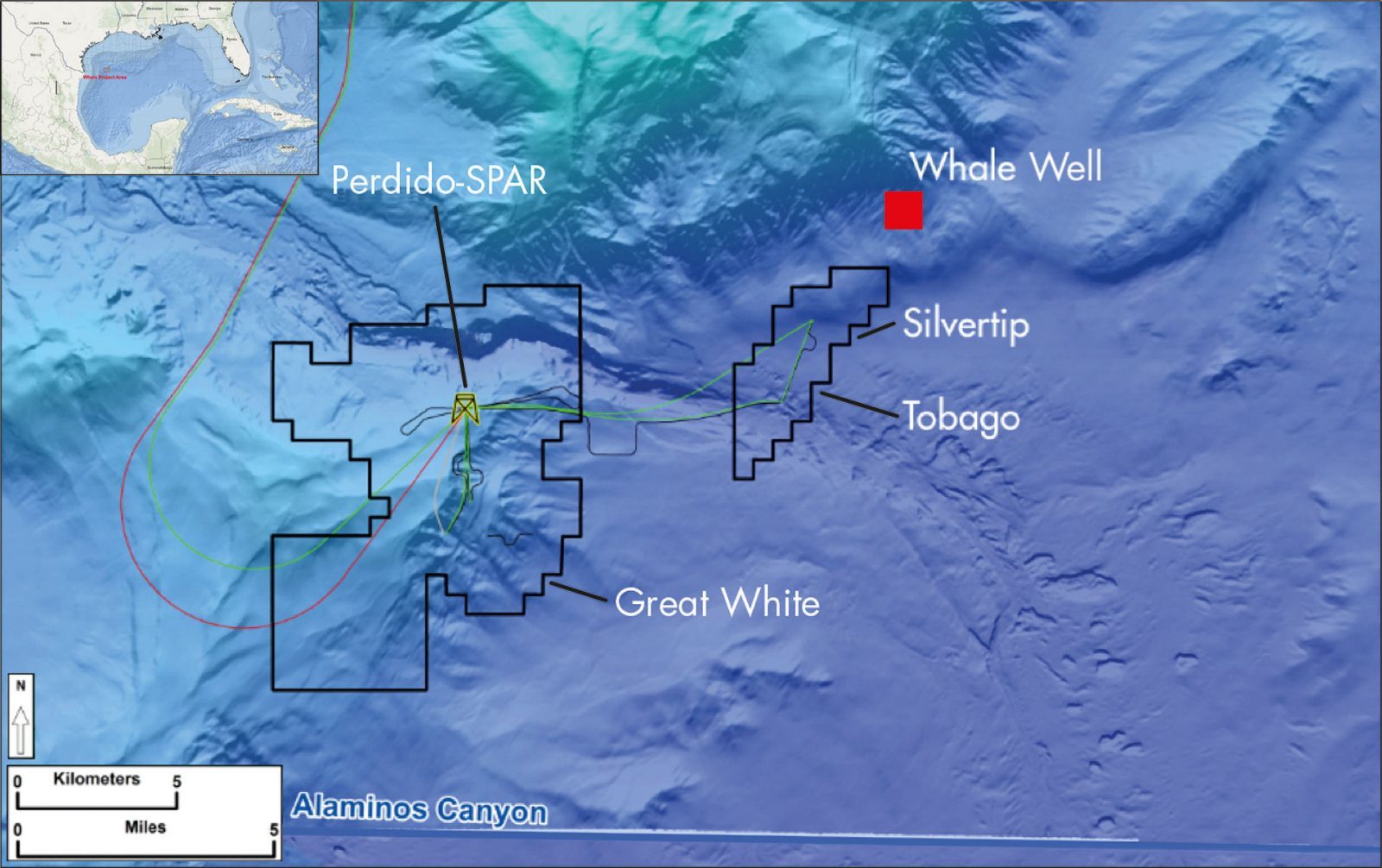 The Whale discovery is located approximately 200-miles (322 kilometers) southwest of Houston