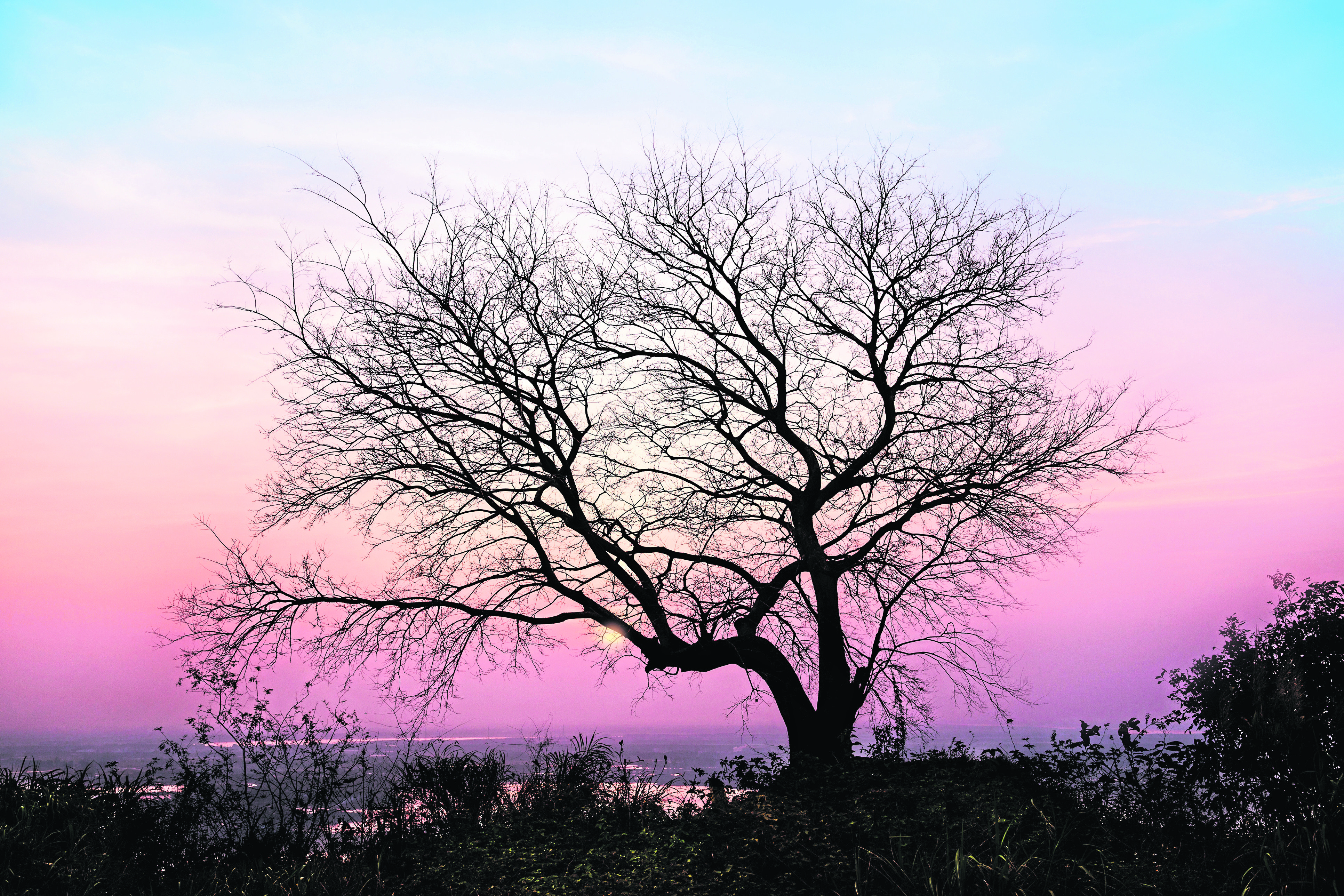 The good thing about winter is it enables you to see clearly because there are no leaves on the trees and there is nothing blocking your view