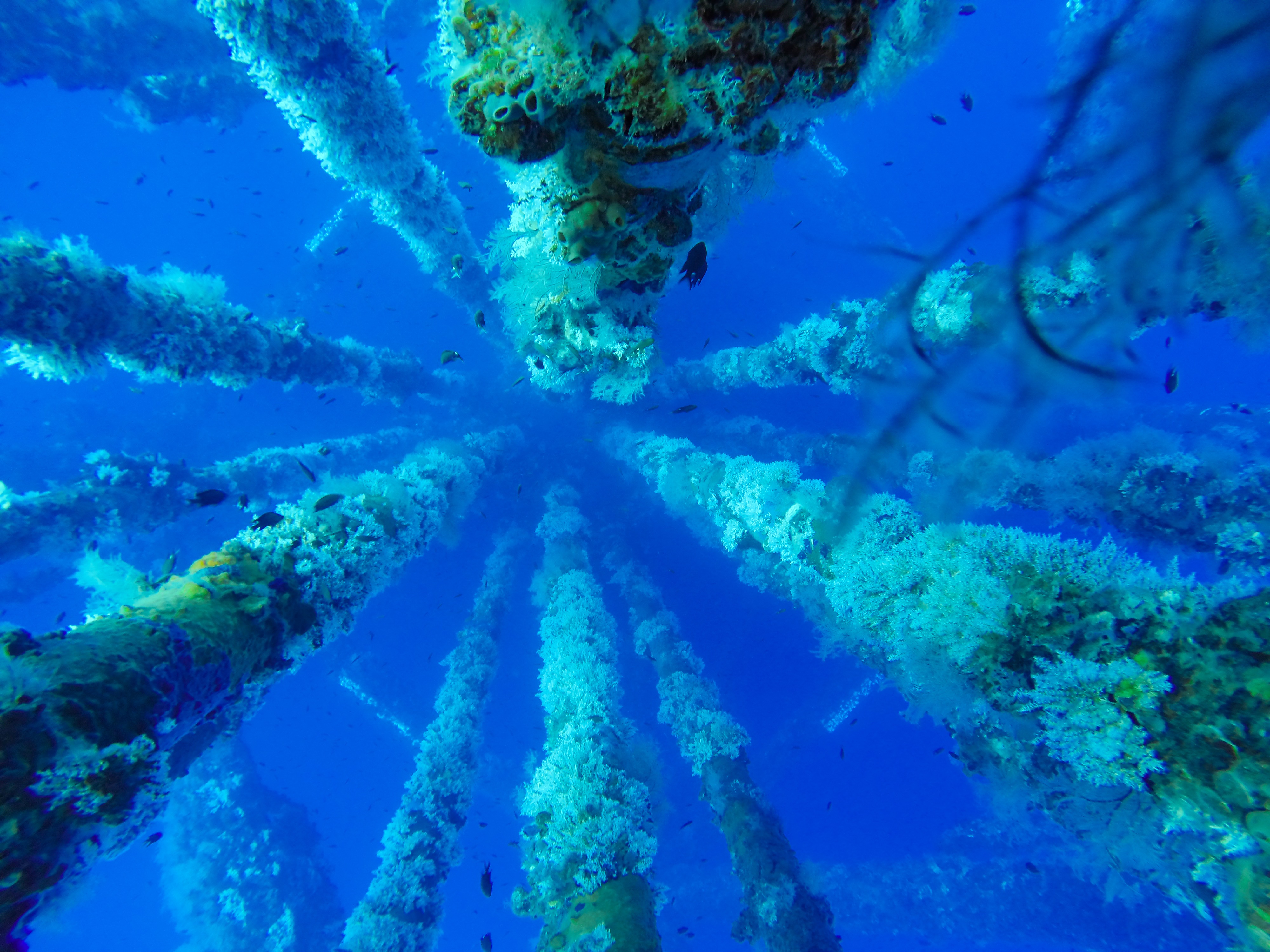 Oil and gas wellhead platform, under water shooting show oil and gas production tubing and platform jacket legs with coral at pipeline.