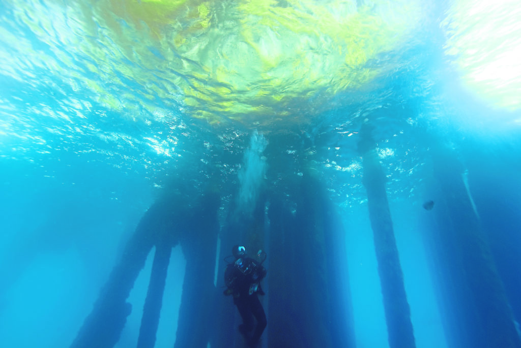 Oil and divers
Scuba diver underwater at California Oil Rig dive site