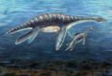 An artist impression of a plesiosaur. AP Photo/National Science Foundation