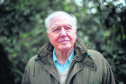 Sir David Attenborough is urging swift action to stop climate change
