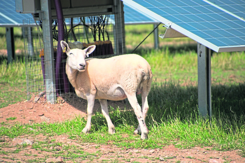 Green Energy International wants to construct a 36 MW scheme, featuring more than 100,000 panels, on 130 acres of land at Bilbo Farm near Crimond.