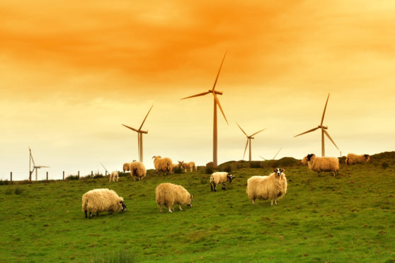 Modern windmill in the dusk with sheep on Scottish fields