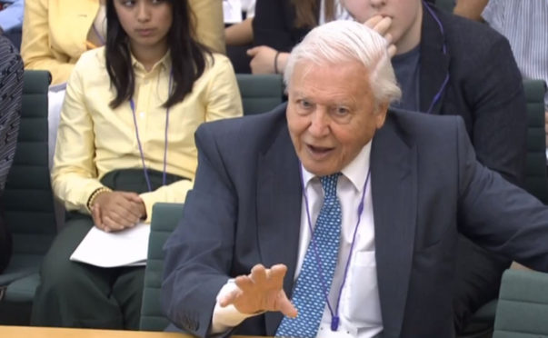 Naturalist Sir David Attenborough giving evidence to the House of Commons Business, Energy and Industrial Strategy Committee,
PRESS ASSOCIATION Photo. Picture date: Tuesday July 9, 2019. Sir David is being questioned on a range of issues relating to climate change and the country's ambition to have net-zero emissions by 2050. See PA story ENVIRONMENT Attenborough. Photo credit should read: House of Commons/PA Wire