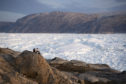 In this Aug. 16, 2019, photo, New York University student researchers sit on a rock overlooking the Helheim glacier in Greenland.