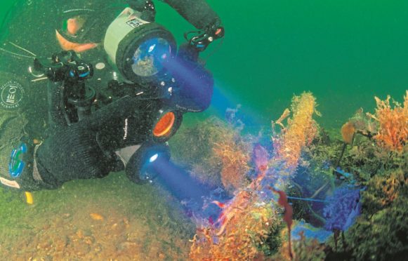 UNDERWATER: A Tritonia diver surveying as part of the stereophotogrammetry process which will look at marine structures and natural features of the seabed