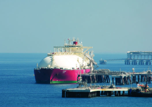 Vitol expects to trade 10 million tonnes of LNG this year