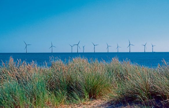 Huge numbers of wind farms, like this one near Great Yarmouth, are springing up in the Southern North Sea.