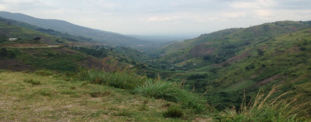 Rain has stopped seismic work for Armour in Lake Albert