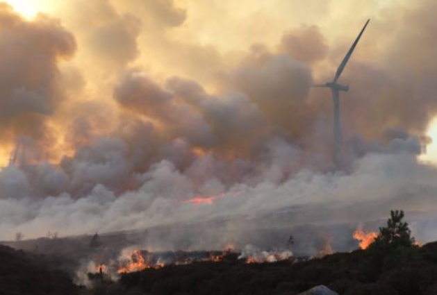 A blaze near a wind farm.