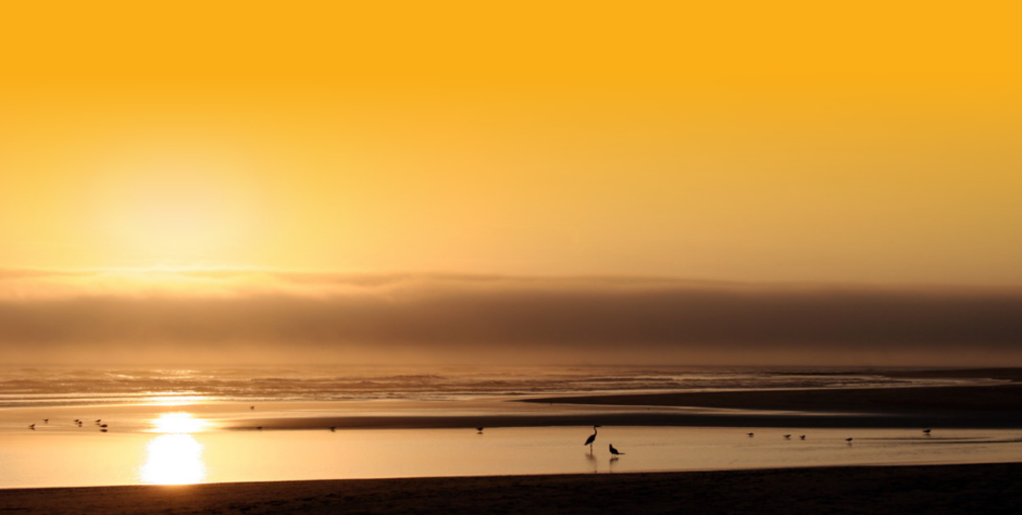 Sunset on a beach