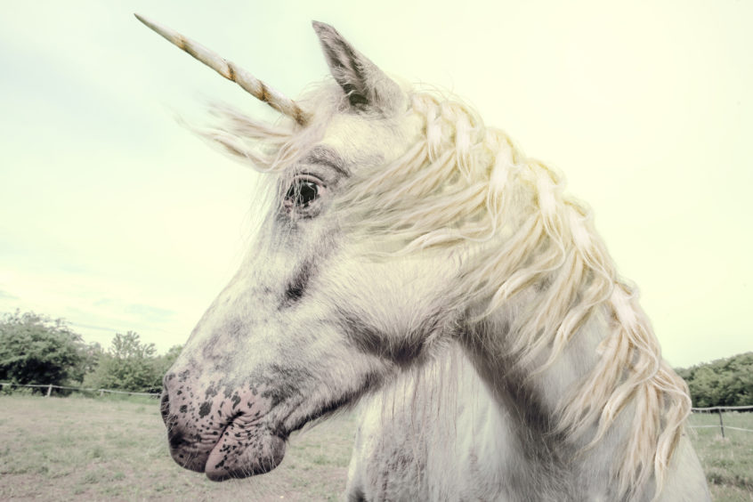 A unicorn is a startup company valued at over $1 billion.