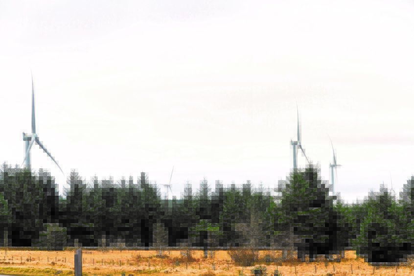 Seven million trees were felled for north of Scotland wind farms.