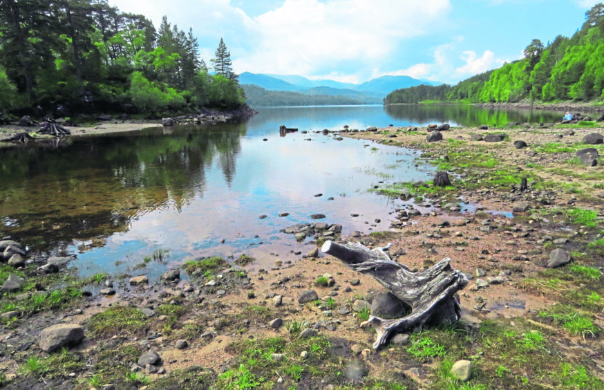 Glen Affric