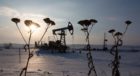 An oil pumping jack, also known as a 'nodding donkey,' operates in a snow covered oilfield in the village of Otrada, 150kms from Ufa, Russia.