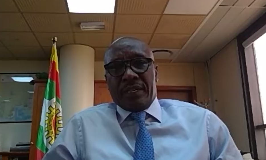 NNPC's Mele Kyari sets out plans to cut costs during a NAPE webinar