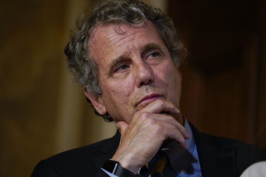 Senator Sherrod Brown, a Democrat from Ohio, listens during a news conference calling for the vote in senate on house-passed H.R. 8, Bipartisan Background Checks Act, at the U.S. Capitol in Washington, D.C., U.S., on Monday, Sept. 9, 2019. The Bipartisan Background Checks Act would require any firearm transfer between unrelated, unlicensed individuals  such as participants at a gun show  to be conducted through a licensed dealer, who is required to perform the background check on the recipient.