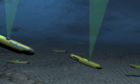 BOSS plans to begin seismic trials in the North Sea with its autonomous nodes in 2021, following an investment by BP Ventures.