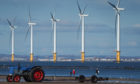 Wind turbines offshore, with shoreline in foreground