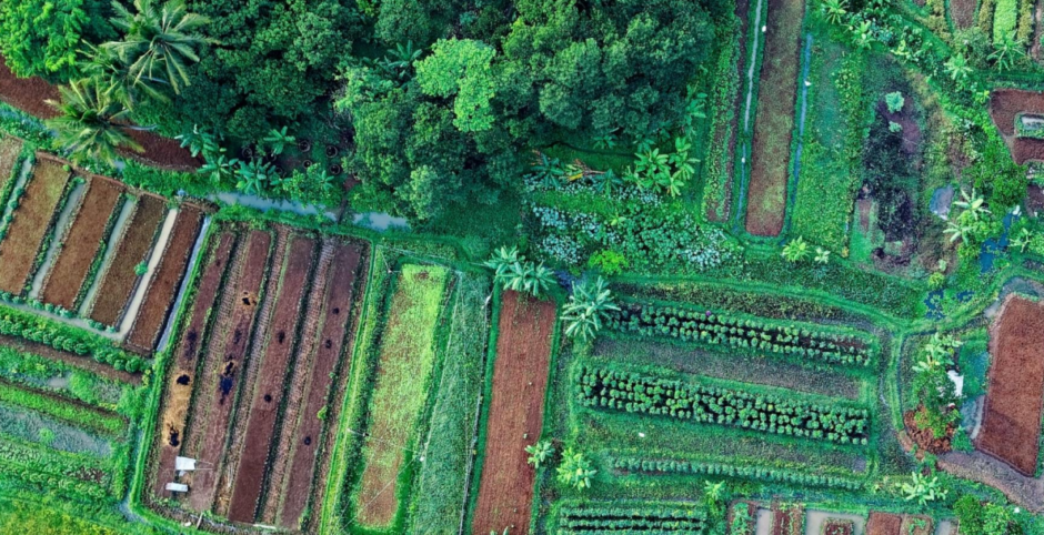 Companies are investing in forestry projects, with PRI saying "negative emissions technology" will play a key role in achieving net zero.