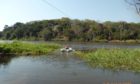 The AfDB has agreed to provide $120mn for a hydropower plant in Tanzania's western Kigoma region and a Chinese fund will also provide cash.