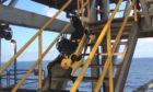 BP Robot Dog
