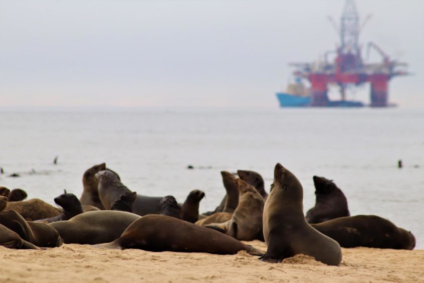 Seals in the front, rig in the back