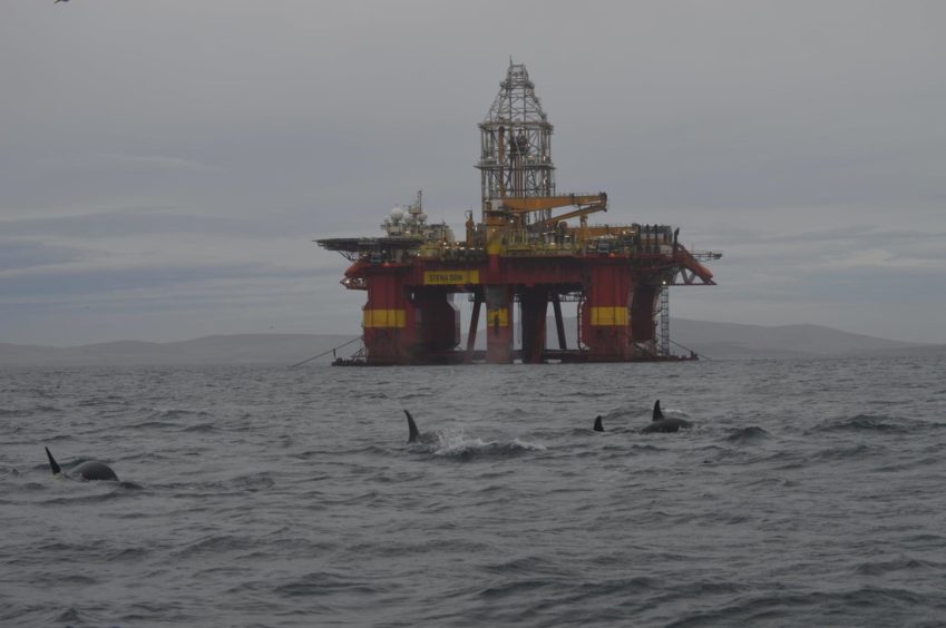 A drilling rig behind some orcas, on an overcast day