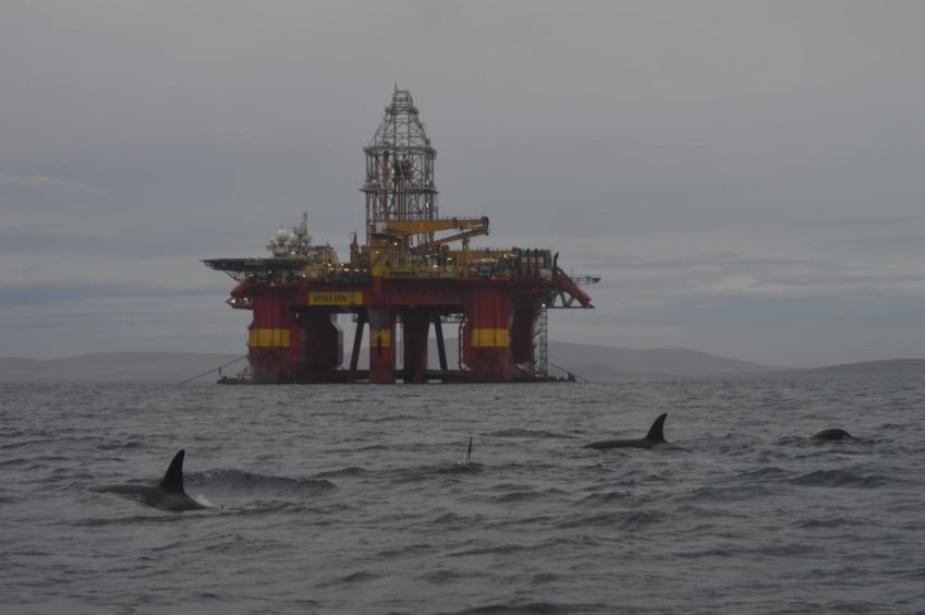 A pod of orcas near the Stena Don rig in Scapa Flow, Orkney. Supplied by Robbie Stanger Date; 18/12/2020
