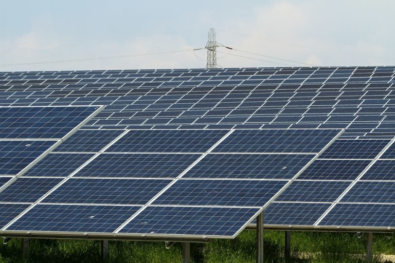 angus solar farm