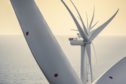 coalition turbines