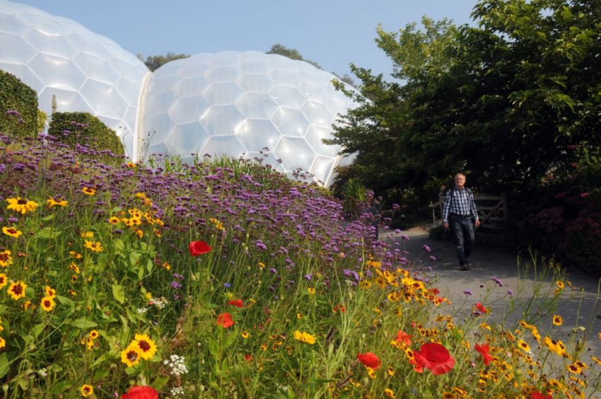 The Eden Project near St. Austell
Cornwall: Photo by Mike Walker/Shutterstock