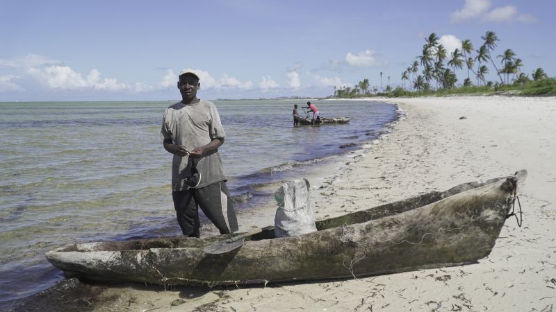 Friends of the Earth (FoE) is challenging the UK's decision to back Mozambique LNG in the High Court, after losing the first round last week.