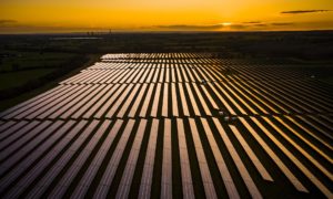 A solar farm at sunrise