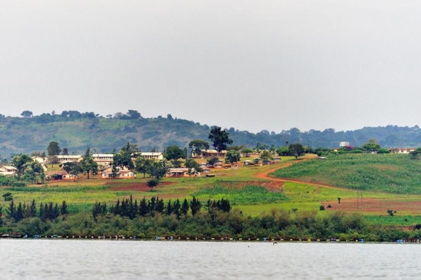 Landscape with green fields and trees under an overcast sky