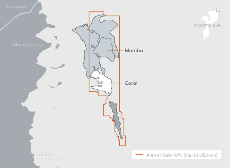 A hoax statement has been circulated, claiming Galp will withdraw from northern Mozambique where it works on Area 4.