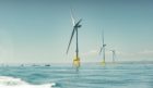Aberdeen Offshore Wind Farm reports 2020 profits of £16m