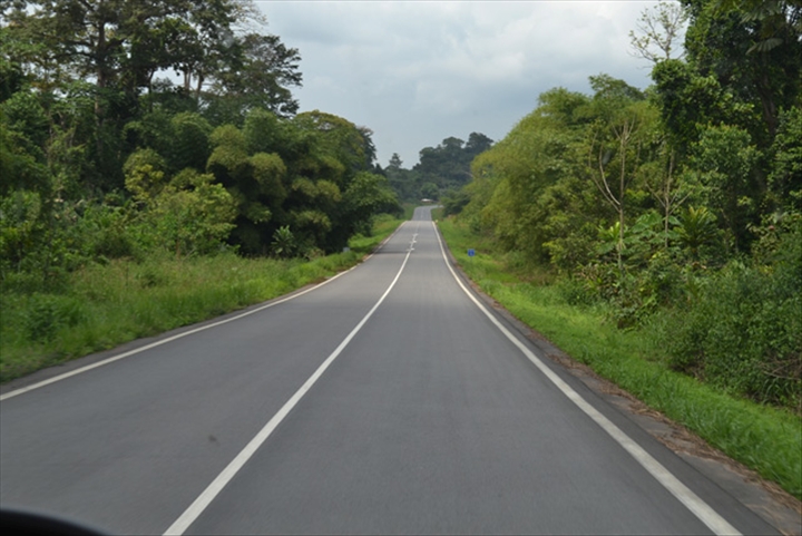 Gabon is moving towards a micro LNG plan on its Mboga licence in an effort to cut flaring and move away from gasoil-fired power.