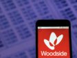 Woodside is expanding its potential hydrogen production portfolio