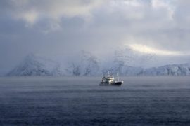 Norway activists take fight on Arctic oil drilling to European Court