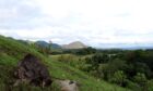 Green landscape with scrub, hill in the background