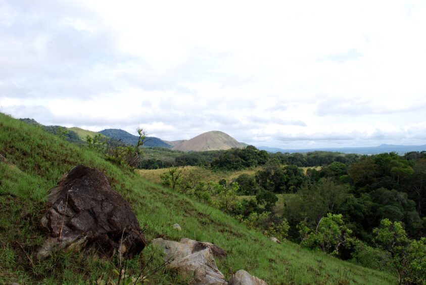 Green landscape with scrub, hill in the background