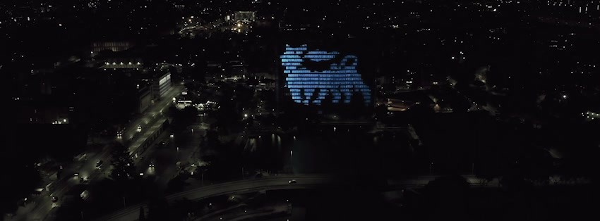 Six legged dog projected against building at night